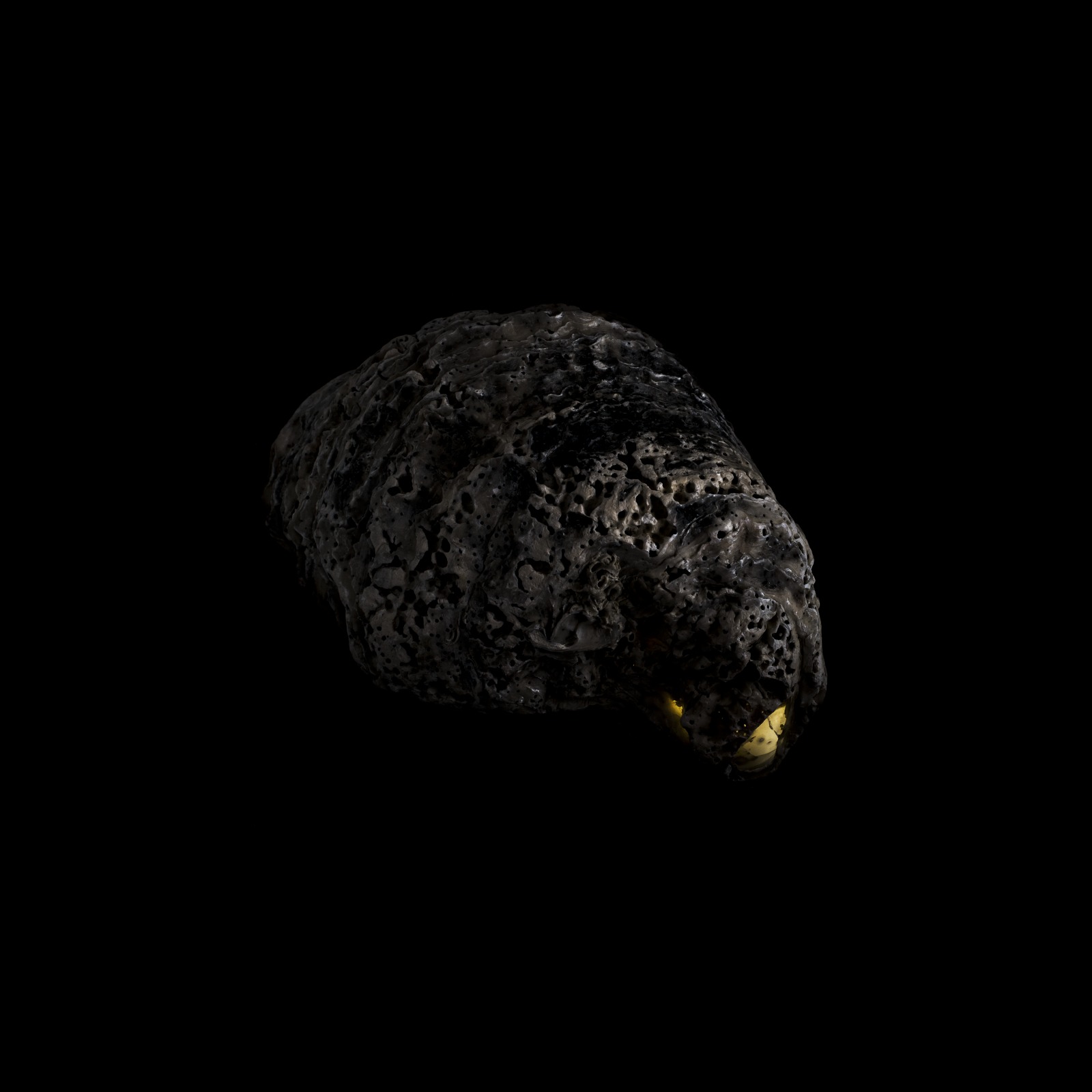 Metamorfosi