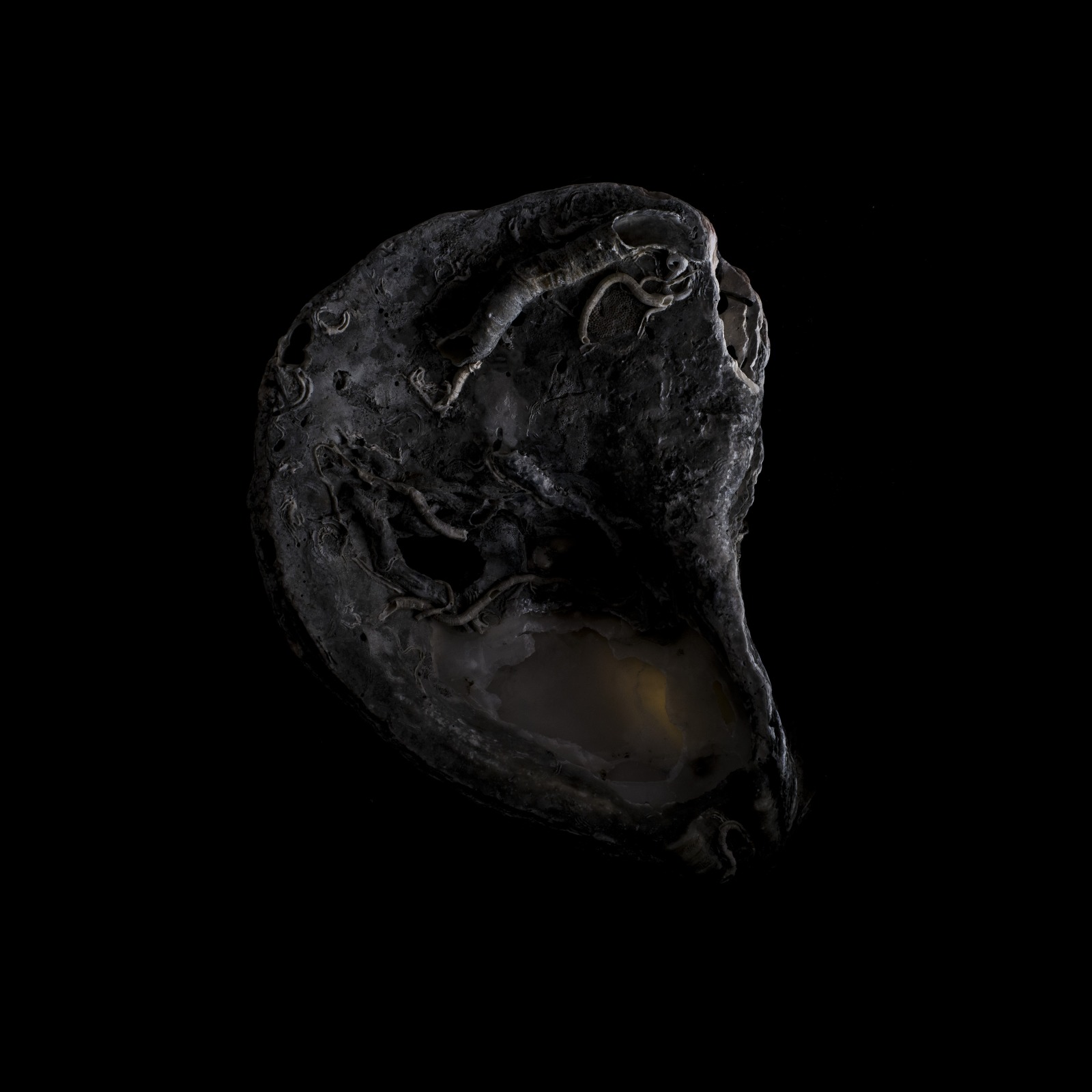 Metamorfosi