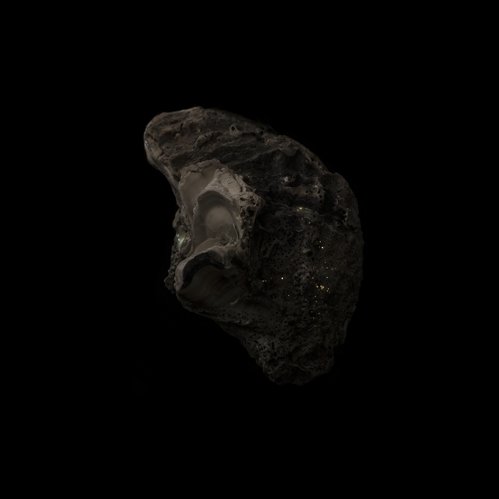 Metamorfosi