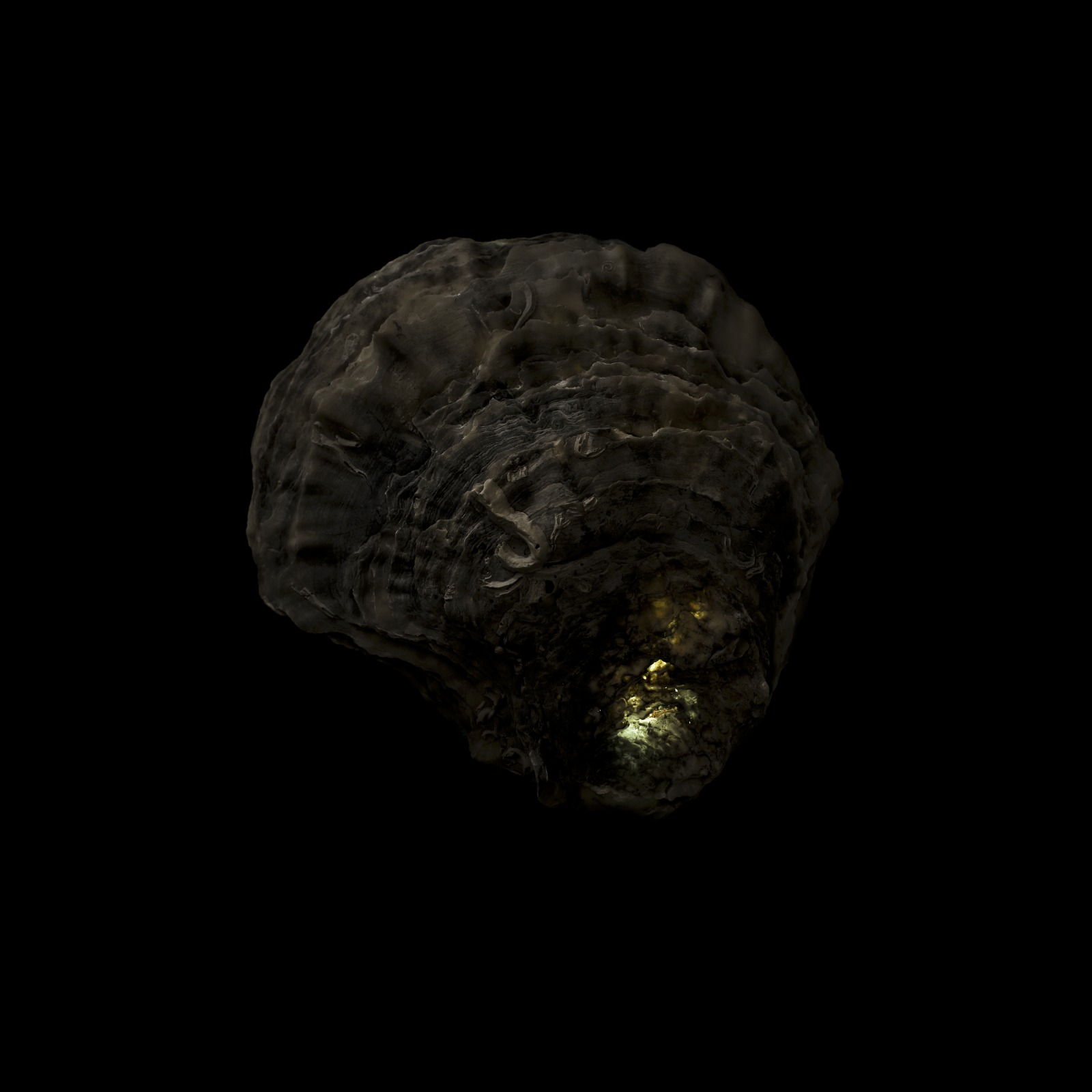 Metamorfosi