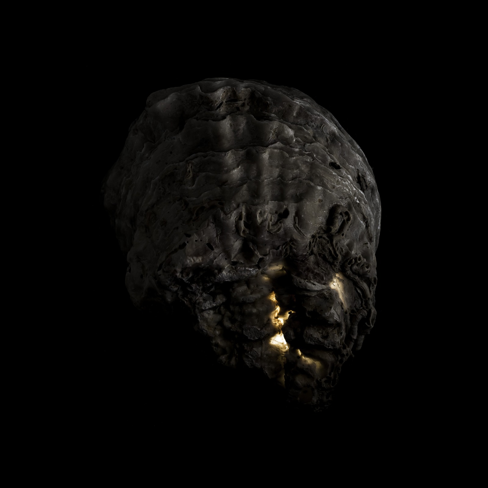 Metamorfosi