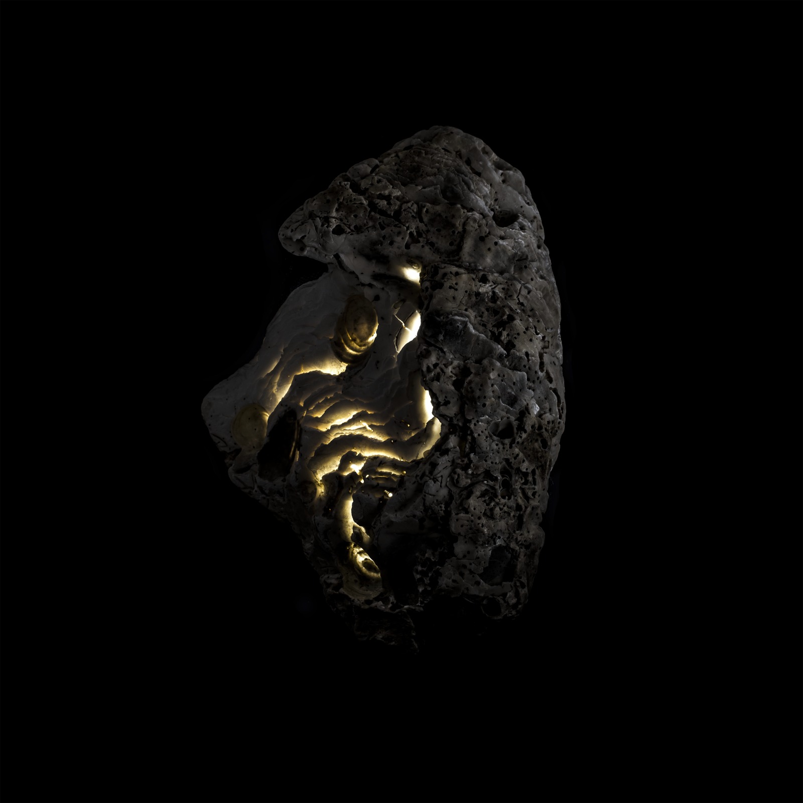 Metamorfosi