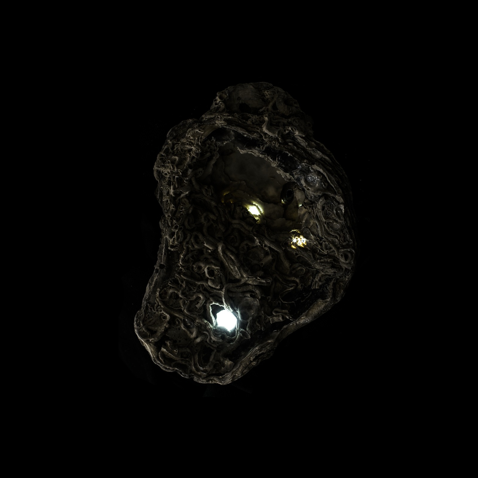 Metamorfosi