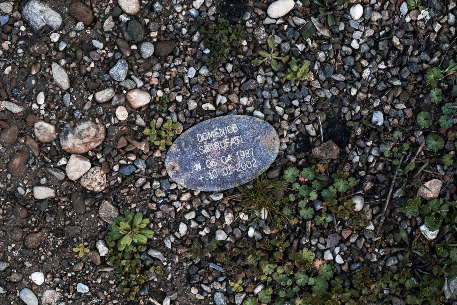Quello che resta